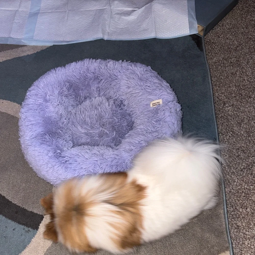 Fluffy Purple Pet Bed